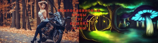 трава Гусев