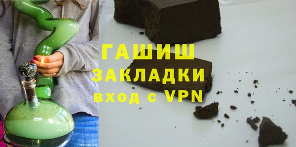 шишки Гусиноозёрск