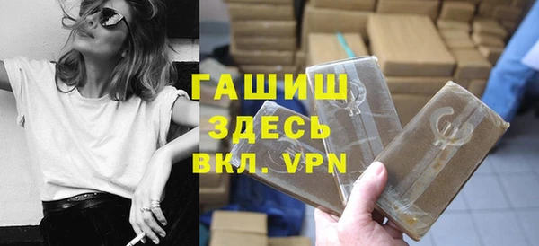 шишки Гусиноозёрск