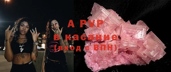 шишки Гусиноозёрск