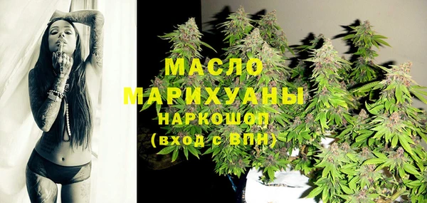 шишки Гусиноозёрск
