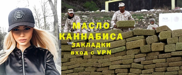 шишки Гусиноозёрск