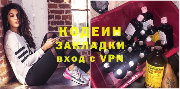шишки Гусиноозёрск