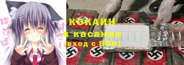 шишки Гусиноозёрск