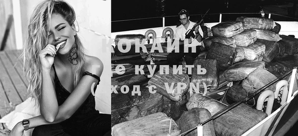шишки Гусиноозёрск