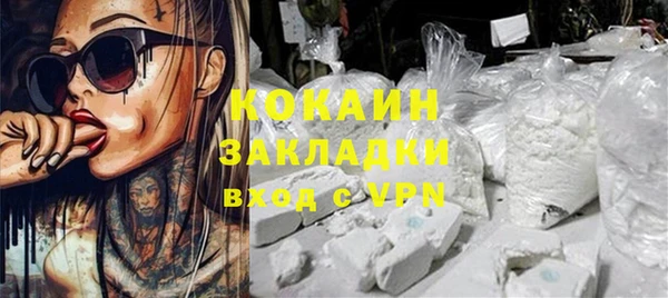 трава Гусев