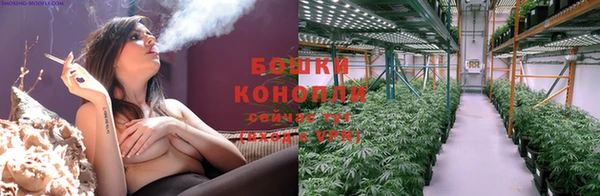 шишки Гусиноозёрск