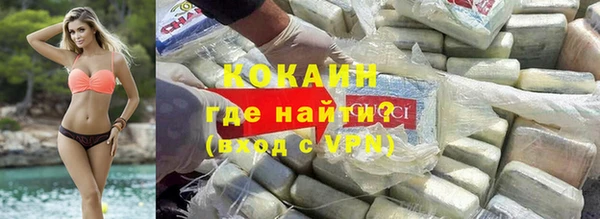 шишки Гусиноозёрск