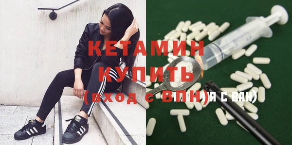 шишки Гусиноозёрск