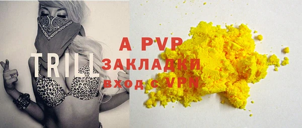 шишки Гусиноозёрск