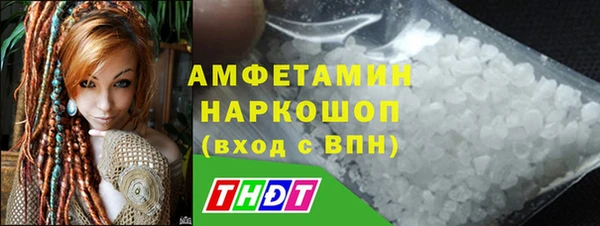 шишки Гусиноозёрск
