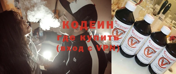шишки Гусиноозёрск