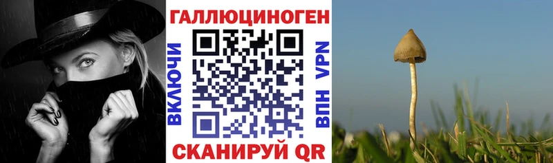 Псилоцибиновые грибы прущие грибы  Купить закладки  Камешково 